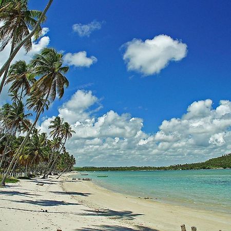 Eco Resort Praia Dos Carneiros By Canto Da Praia エクステリア 写真